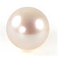 Bijou de Perles d'Eau Douce PED301A